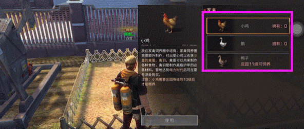 明日之后家禽怎么样 家禽饲养方法详解
