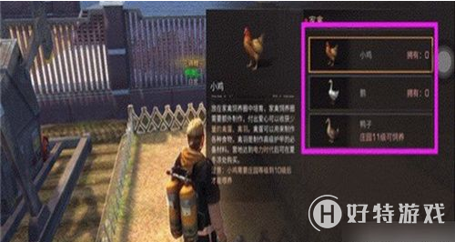 明日之后养殖家禽方法介绍
