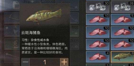 明日之后云斑海猪鱼在哪里钓 云斑海猪鱼获取攻略