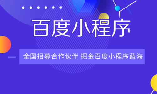 流量抢夺后商业变现 开发者快来百度小程序尝鲜[多图]图片2