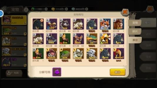 疯狂原始人宠物装备怎么选