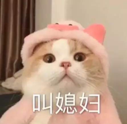 抖音热门表情包2019：叫媳妇