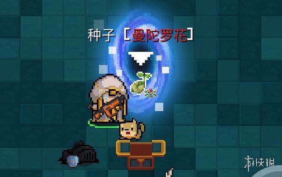 iefans网
