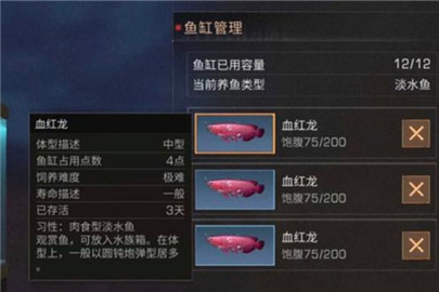 明日之后血红龙在哪钓怎么钓