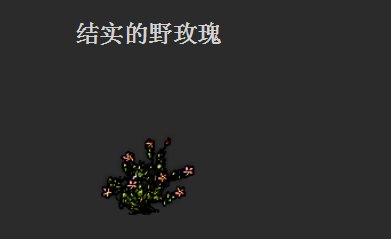 一小时人生玫瑰在哪 野玫瑰玫瑰位置解析