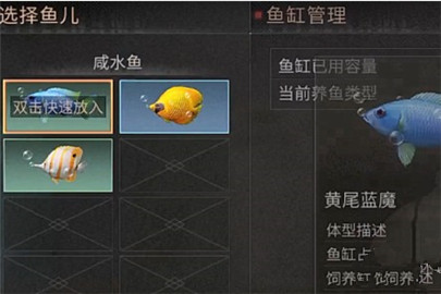 明日之后观赏鱼有什么用 观赏鱼缸怎么用?
