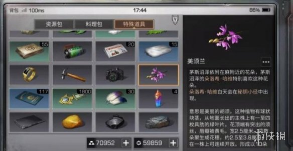 iefans网