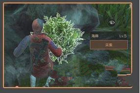 明日之后海麻叶在哪采集 海麻叶采集刷新地点介绍