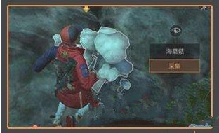 明日之后海蘑菇在哪刷新 海蘑菇有什么用?