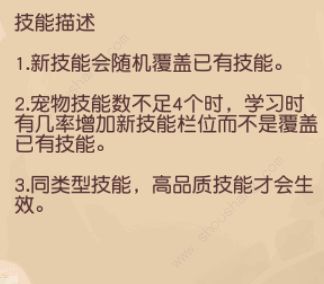 疯狂原始人手游怎么更高效的为宠物洗技能