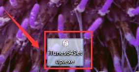 windows7系统中安装itunes的详细操作步骤