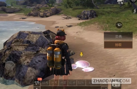 明日之后珍珠如何获得 珍珠获得的途径和作用是什么