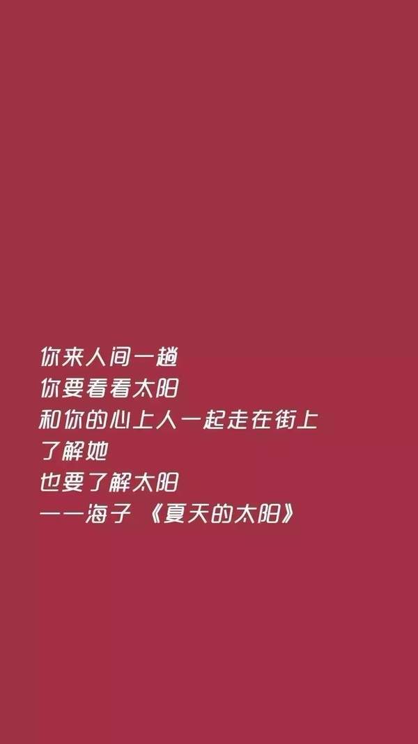 抖音文字壁纸：忘了他我偷电瓶车养你