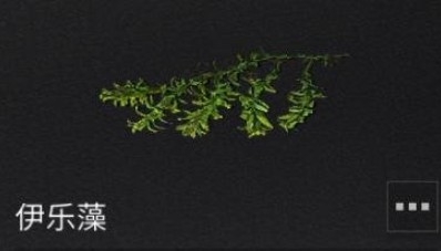 明日之后海岛道具怎么得？ 海岛特殊道具获取方法解析