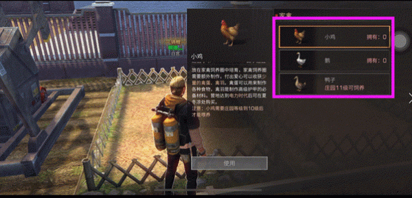 明日之后家禽饲养圈怎么玩家禽饲养圈玩法攻略