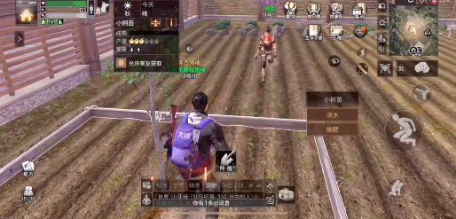 明日之后植树证书怎么升级