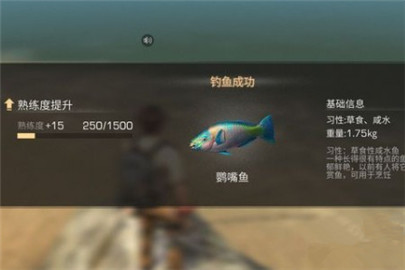 明日之后鹦嘴鱼在哪钓 鹦嘴鱼怎么钓?