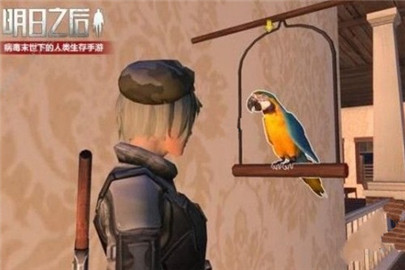 明日之后鹦鹉有什么用