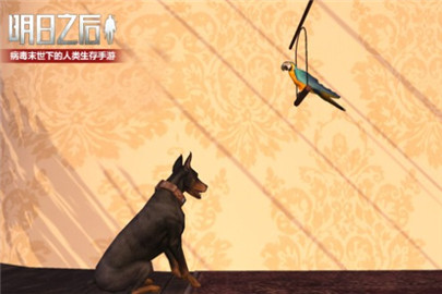 明日之后鹦鹉怎么训练