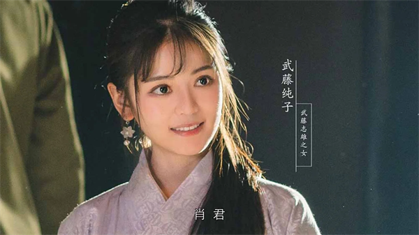 隐形守护者武藤纯子剧情解析 隐形守护者武藤纯子人物介绍