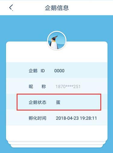 企鹅大陆蛋蛋怎么领取？蛋蛋可以领取几个？