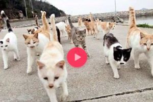 抖音运动嗨曲2阿杰歌曲叫什么？抖音运动嗨曲2阿杰歌曲分享图片1