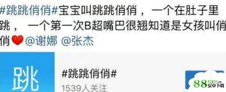 谢娜张杰女儿的小名叫什么|谢娜女儿小名透露