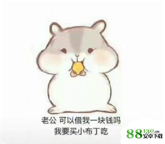 抖音仓鼠要钱完整表情包无水印|抖音仓鼠要钱表情包大图