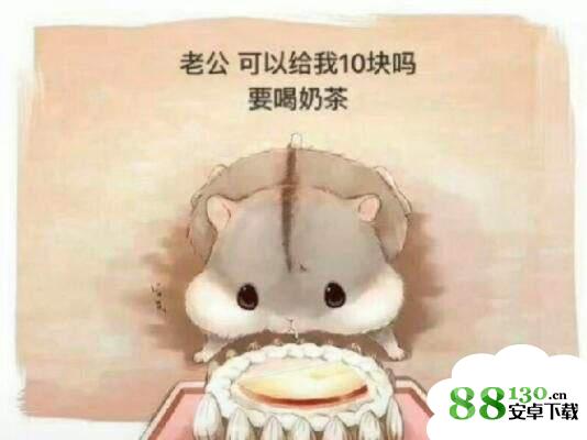 抖音仓鼠要钱完整表情包无水印