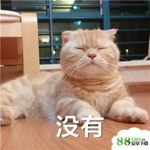 抖音我不可爱我很凶哒无水印表情包