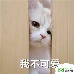 抖音我不可爱我很凶哒无水印表情包抖音我不可爱我很凶哒全套