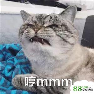抖音我不可爱我很凶哒无水印表情包