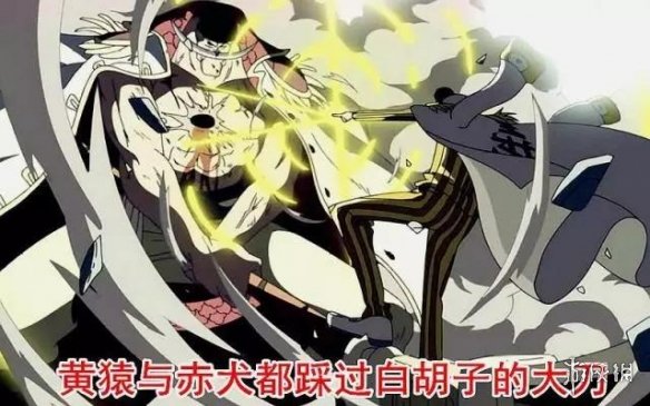 iefans网