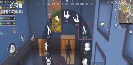 刺激战场山楂树之恋动作：S5通行证等级达到44级可解锁