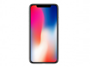 iPhone X设置语音拨号的操作过程