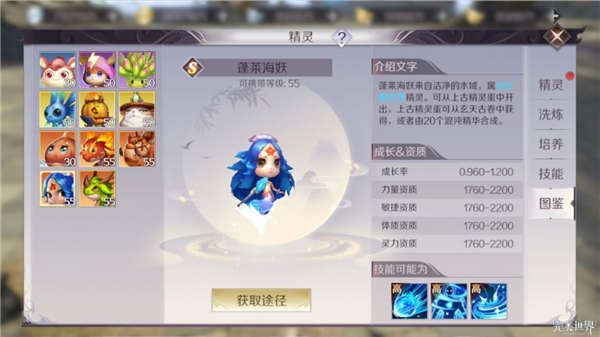 ⁄