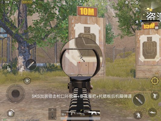 绝地求生刺激战场mini和SKS哪个好？