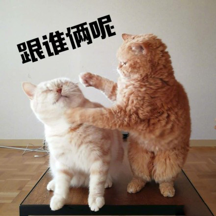 跟谁俩呢图片 你跟谁俩呢表情包大全