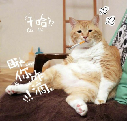 跟谁俩呢图片 你跟谁俩呢表情包大全