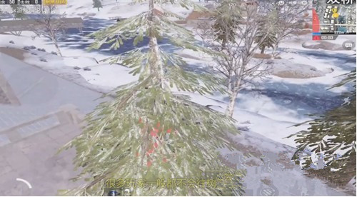 绝地求生刺激战场雪地地图怎么上树 雪地地图上树方法介绍