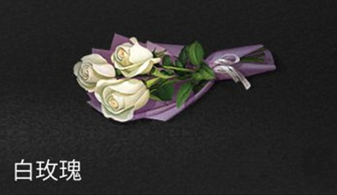 明日之后白玫瑰怎么获得 白玫瑰获取方法