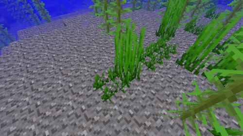 我的世界海草种植方法