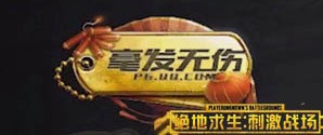 刺激战场年兽大作战勋章称号怎么解锁 4个勋章称号解锁条件一览