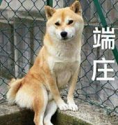 第五人格