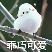 第五人格