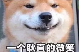 第五人格