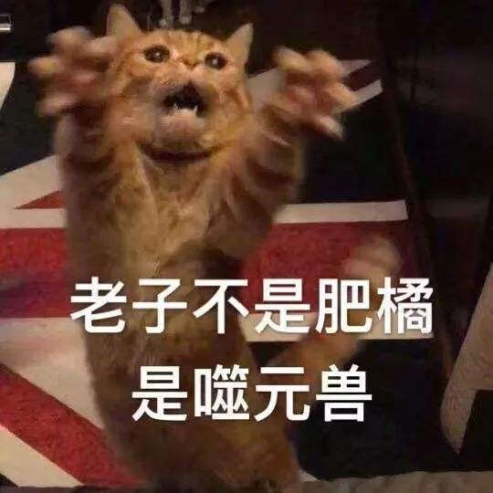 惊奇队长噬元兽图片 老子不是肥橘是噬元兽表情包