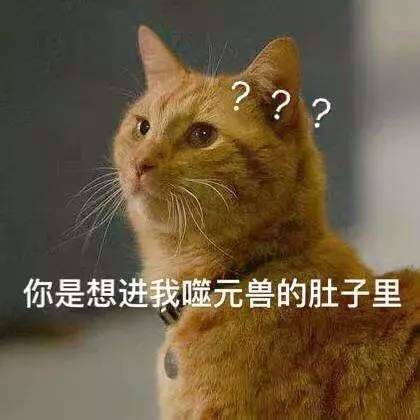 惊奇队长噬元兽图片-老子不是肥橘是噬元兽表情包