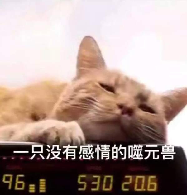 惊奇队长噬元兽图片-老子不是肥橘是噬元兽表情包