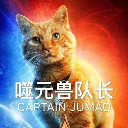惊奇队长噬元兽图片-老子不是肥橘是噬元兽表情包